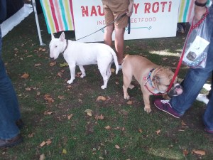 Chiswick House Dog Show, 27 September 2015