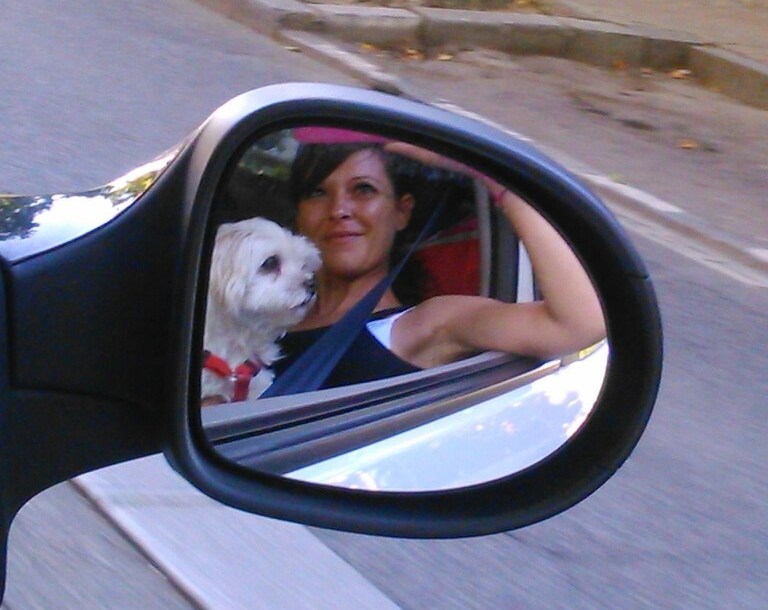 Little dog and his owner in car mirror