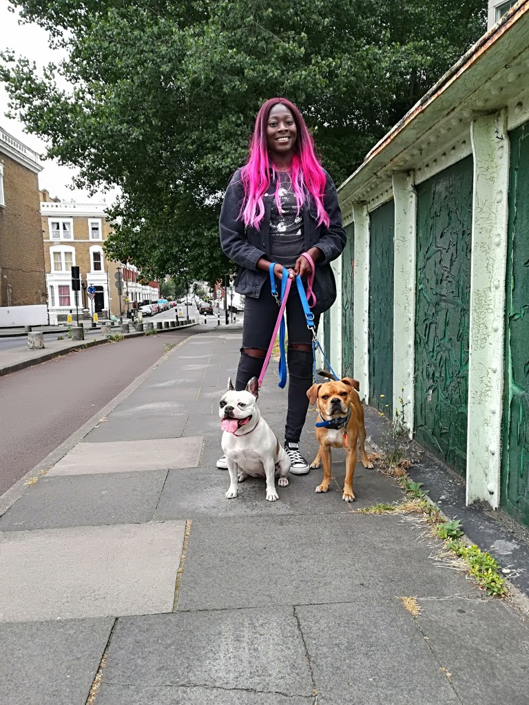 Millie, the French Bulldog, and Ziggy, theCross Pug/Cocker Spaniel/French Bulldog/Boston Terrier, enjoying fresh air