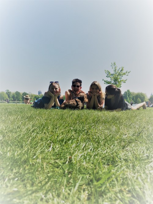 Rupert, the miniature long-haired Dachshund, out and about during his dog Day Care