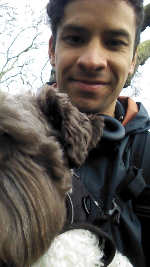 MONTGOMERY ‘MONTY’, THE MINIATURE SCHNAUZER, FOR HIS DOG WALKING !!