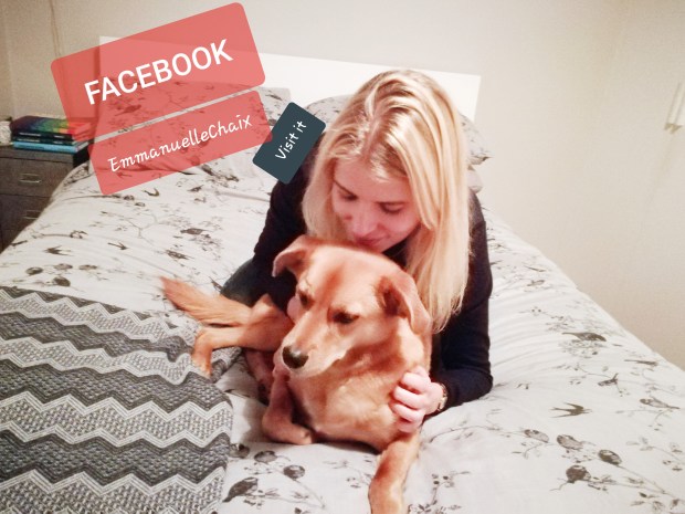 Georgie, our rescued crossbreed Golden Retriever/Labrador, ready for her dog Walking