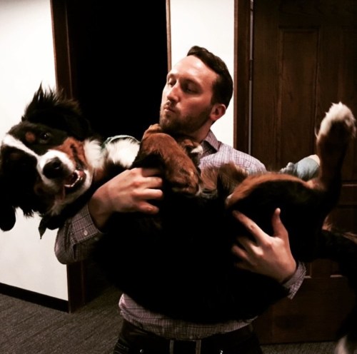 Winston, our gorgeous Bernese Mountain Dog, being lifted!