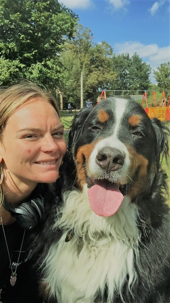Winnie our Bernese Mountain Dog during his dog Walking in London