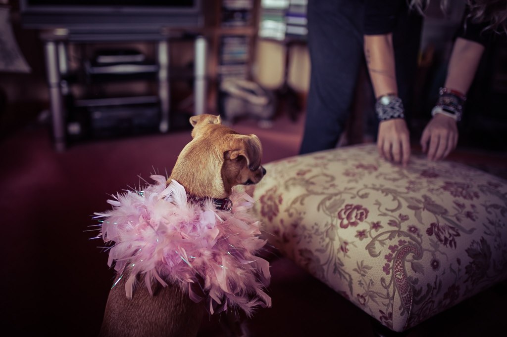 EmmanuelleChaix and dogs in London