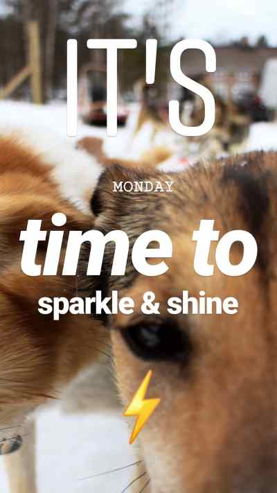 Monday morning at EmmanuelleChaix