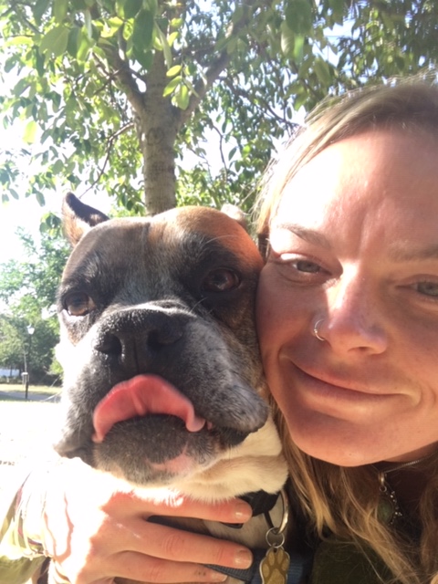 Thor, the rescued Boxer Terrier, for his dog Walking with EmmanuelleChaix in London