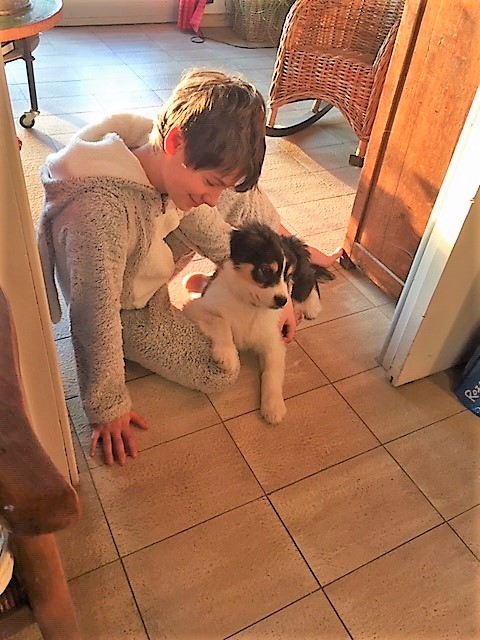 Dog Training UK - EmmanuelleChaix